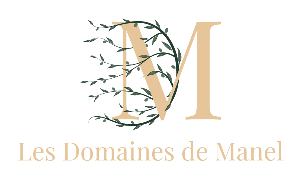 domainesdemanel logo 02